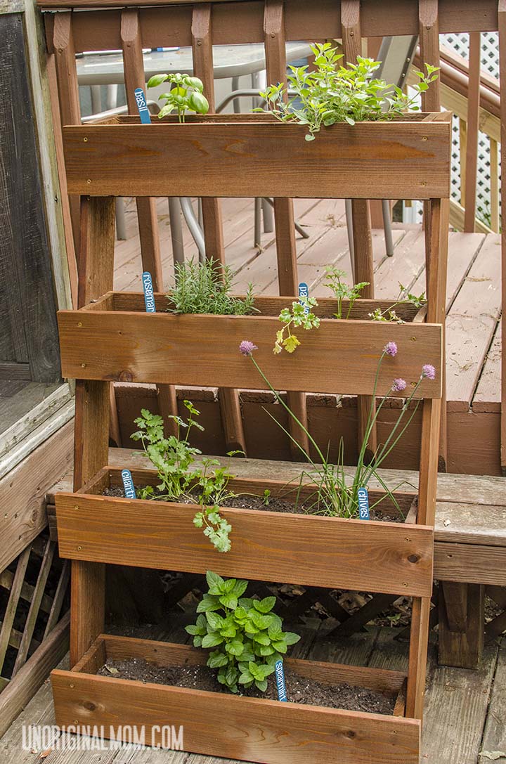 DIY Box Herb Garden Mom