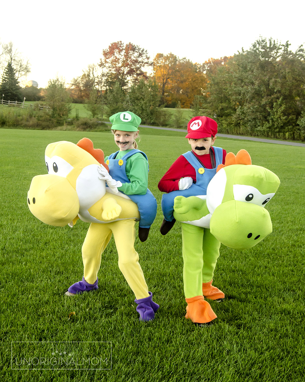 Mario, Luigi and Toad - Family Halloween Costume